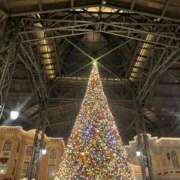 ヒメ日記 2025/12/12 15:20 投稿 高橋あゆ Finemotion