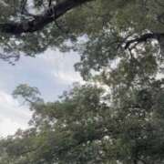 ヒメ日記 2025/07/28 15:45 投稿 白石ひめか DEEPS成田店