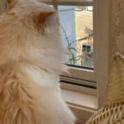 ヒメ日記 2025/09/11 12:05 投稿 白石ひめか DEEPS成田店