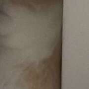 ヒメ日記 2025/10/18 06:25 投稿 白石ひめか DEEPS成田店