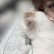 ヒメ日記 2025/11/14 13:45 投稿 白石ひめか DEEPS成田店