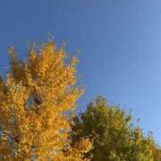 ヒメ日記 2025/11/14 20:05 投稿 白石ひめか DEEPS成田店