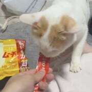 ヒメ日記 2025/11/23 21:25 投稿 白石ひめか DEEPS成田店