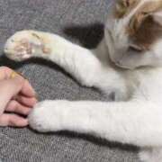 ヒメ日記 2025/11/28 11:55 投稿 白石ひめか DEEPS成田店