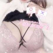 ヒメ日記 2025/05/03 19:00 投稿 もこ Gossip girl