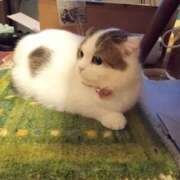 ヒメ日記 2025/05/12 06:10 投稿 るる 柏人妻花壇