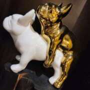 ヒメ日記 2025/10/08 20:23 投稿 るる 柏人妻花壇