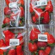 ヒメ日記 2026/01/14 13:02 投稿 るる 柏人妻花壇