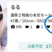 ヒメ日記 2026/02/26 05:59 投稿 るる 柏人妻花壇