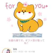 ヒメ日記 2026/04/20 10:57 投稿 るる 柏人妻花壇