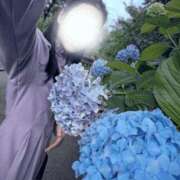 ヒメ日記 2025/06/28 14:07 投稿 雨宮あやめ BLENDA V.I.P東京店