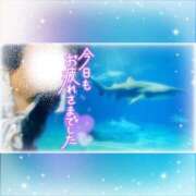 ヒメ日記 2025/11/24 21:27 投稿 さき 人妻熟女の秘密の関係伊勢崎店