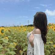 ヒメ日記 2025/05/05 17:30 投稿 りな 若妻LOVE