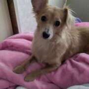 ヒメ日記 2025/06/26 10:37 投稿 あのん ももいろワイフ(久喜)