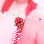 ヒメ日記 2025/05/24 20:30 投稿 あざみ ピンクハウス（横浜）