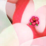 ヒメ日記 2025/07/02 17:55 投稿 あざみ ピンクハウス（横浜）