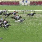 ヒメ日記 2025/06/08 17:28 投稿 りり an_an（アンアン）