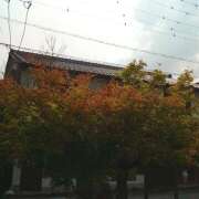 ヒメ日記 2025/09/13 19:23 投稿 りり an_an（アンアン）