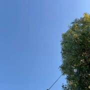 ヒメ日記 2025/12/16 15:17 投稿 りり an_an（アンアン）