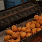 ヒメ日記 2025/11/24 21:23 投稿 ゆずき ティンカーベル