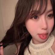 ヒメ日記 2025/12/24 09:52 投稿 ゆずき ティンカーベル