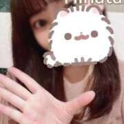 ヒメ日記 2025/08/28 13:05 投稿 ひなた ジャパンクラブ富士