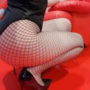 ヒメ日記 2025/09/14 09:42 投稿 ひなた ジャパンクラブ富士