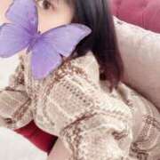 ヒメ日記 2025/11/20 18:47 投稿 ひなた ジャパンクラブ富士