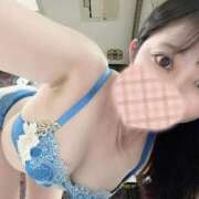 ヒメ日記 2025/11/27 14:02 投稿 ひなた ジャパンクラブ富士