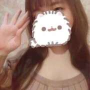 ヒメ日記 2026/02/21 08:44 投稿 ひなた ジャパンクラブ富士