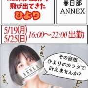 ヒメ日記 2025/05/19 12:07 投稿 ひより ANNEX（アネックス）