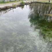 ヒメ日記 2025/06/11 12:16 投稿 ひより ANNEX（アネックス）