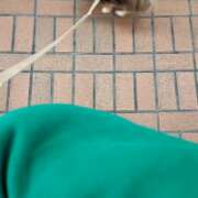 ヒメ日記 2026/04/10 20:11 投稿 白花　まり 人妻の秘密