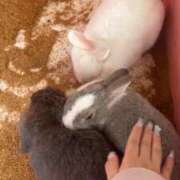 ヒメ日記 2025/10/06 21:52 投稿 いく SOAPLAND LOVE FACTORY