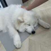 ヒメ日記 2025/10/23 14:22 投稿 いく SOAPLAND LOVE FACTORY