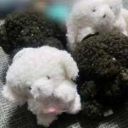 りんか おやすみ日記🧸 ウルトラドリーム