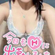 ヒメ日記 2025/11/16 15:41 投稿 あすは Ravires(ラヴィリス)