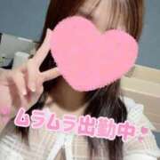 ヒメ日記 2025/11/26 18:21 投稿 あすは Ravires(ラヴィリス)