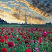 ヒメ日記 2025/05/30 16:04 投稿 すみれ奥様 なすがママされるがママ西川口