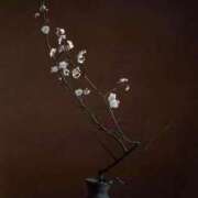 ヒメ日記 2025/10/25 10:28 投稿 加乃亜/かのあ 五反田アネージュ（ユメオト）