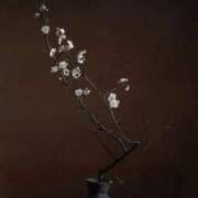 ヒメ日記 2025/10/25 10:50 投稿 加乃亜/かのあ 五反田アネージュ（ユメオト）