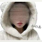 ヒメ日記 2025/11/09 07:05 投稿 加乃亜/かのあ 五反田アネージュ（ユメオト）