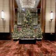 ヒメ日記 2025/11/13 00:08 投稿 加乃亜/かのあ 五反田アネージュ（ユメオト）