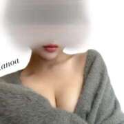 ヒメ日記 2025/11/14 16:41 投稿 加乃亜/かのあ 五反田アネージュ（ユメオト）