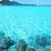 ヒメ日記 2025/05/21 13:44 投稿 すみれ奥様 なすがママされるがママ川越