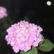 ヒメ日記 2025/06/08 14:58 投稿 すい 京都回春性感マッサージ倶楽部