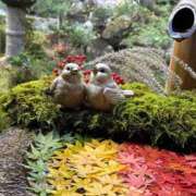 すい ありがとう☺️ 京都回春性感マッサージ倶楽部