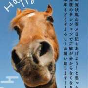 ヒメ日記 2026/01/01 02:03 投稿 蒼井りょう シロガネーゼ