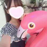 ヒメ日記 2025/07/24 02:53 投稿 あんな★癒しの極！清純派美女★ Bell～S級美女お姉様・人妻デリヘル～