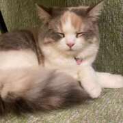 ヒメ日記 2025/09/03 12:19 投稿 あんな★癒しの極！清純派美女★ Bell～S級美女お姉様・人妻デリヘル～